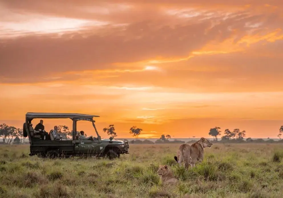 Maasai Mara safari landscape