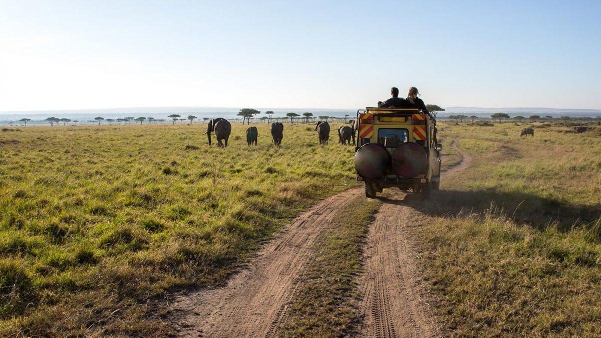 Safari jeep travelling through the Kenyan wilderness