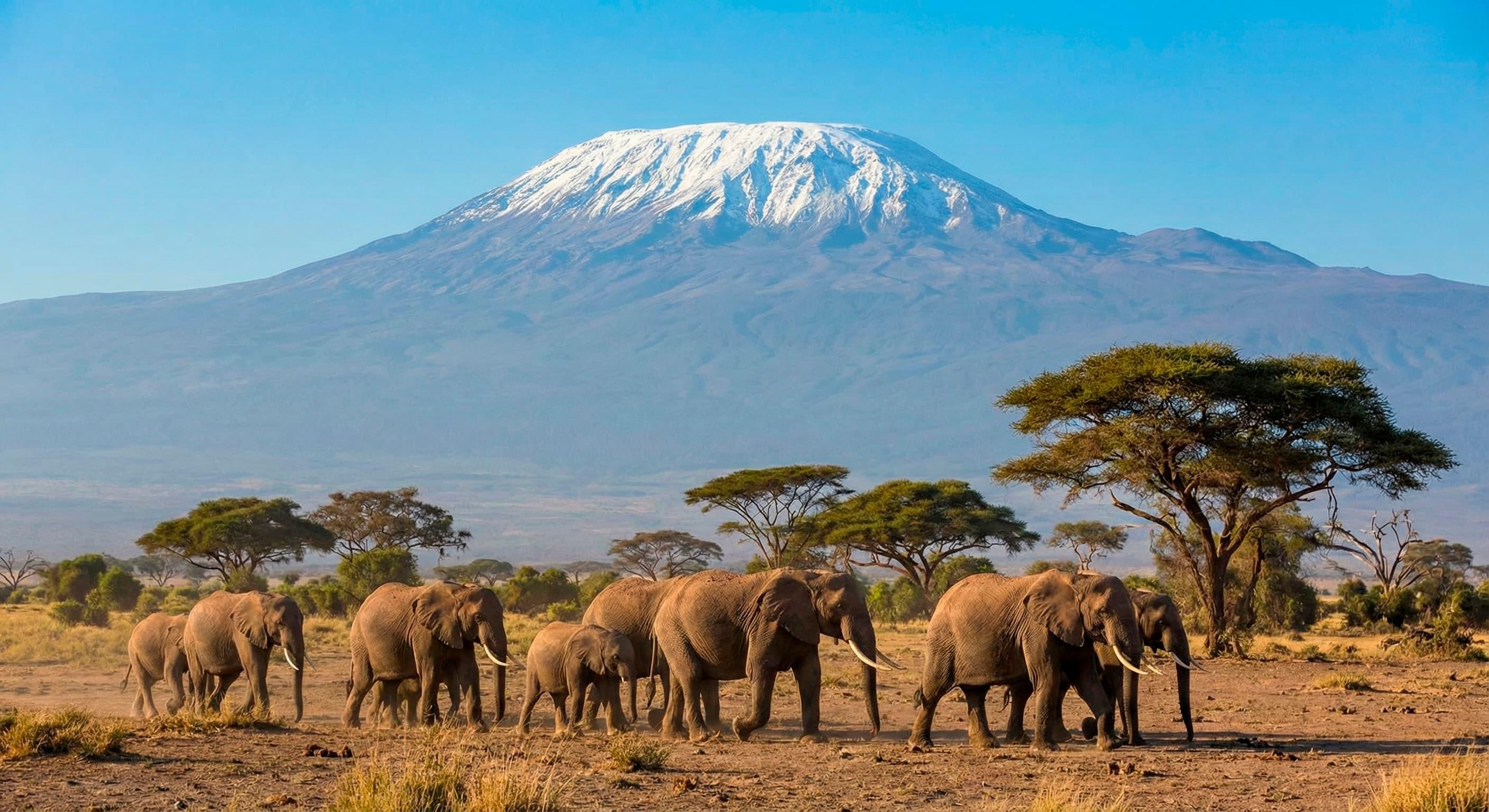 Mount Kilimanjaro above the Amboseli landscape