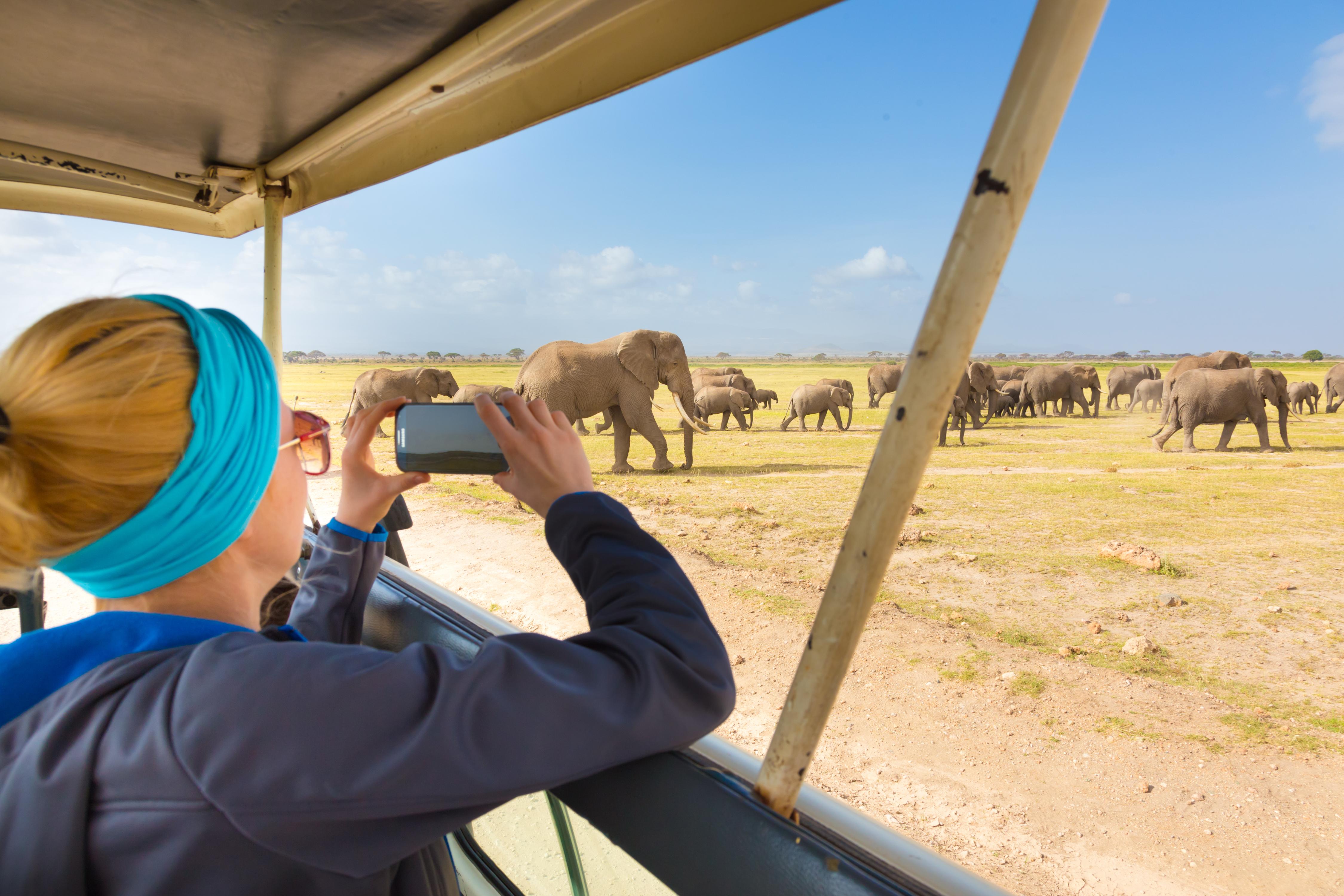 Traveller photographing wildlife during a safari