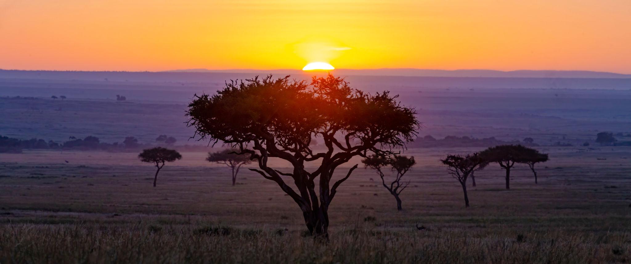 River flowing through a Kenyan wilderness landscape