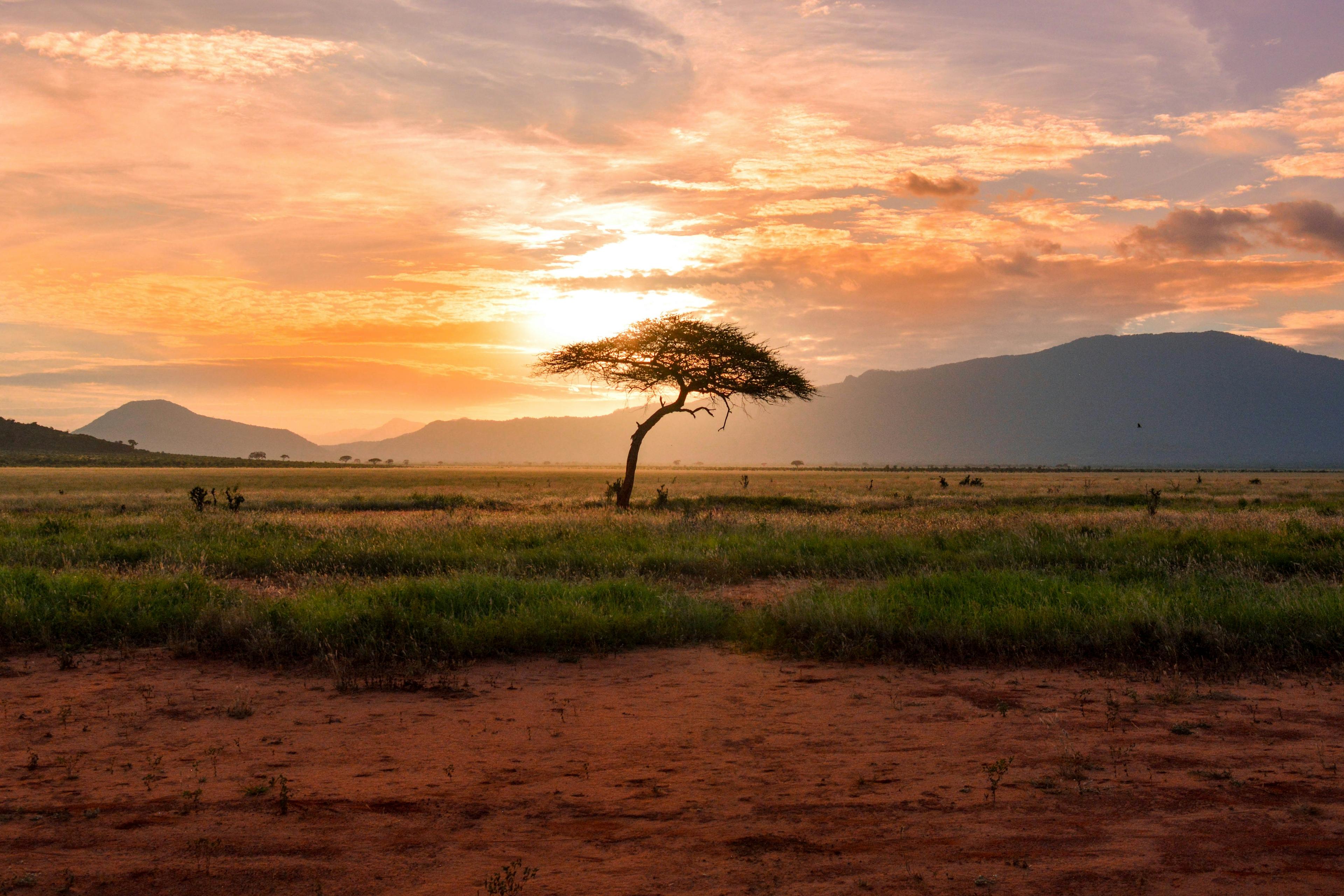 Sunrise over the Maasai Mara